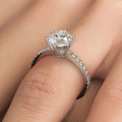 6 Prong Head, Micropave Diamond Shank, Engagement Ring Setting (0.41ctw) in 18k White Gold