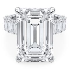 Emerald-Cut Ring with Emerald-Cut Diamond Shank (3.30ctw)